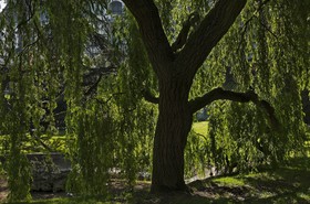 Place Victor Hugo