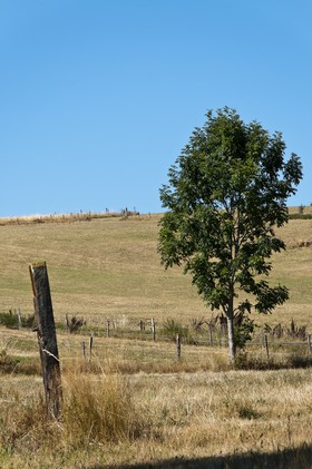 Paysage de Haute-Loire