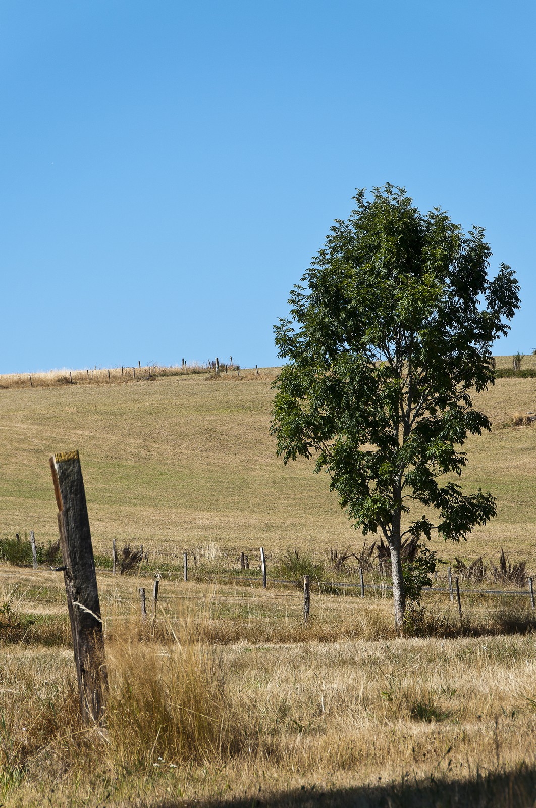 Paysage de Haute-Loire