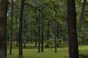 Parc inférieur