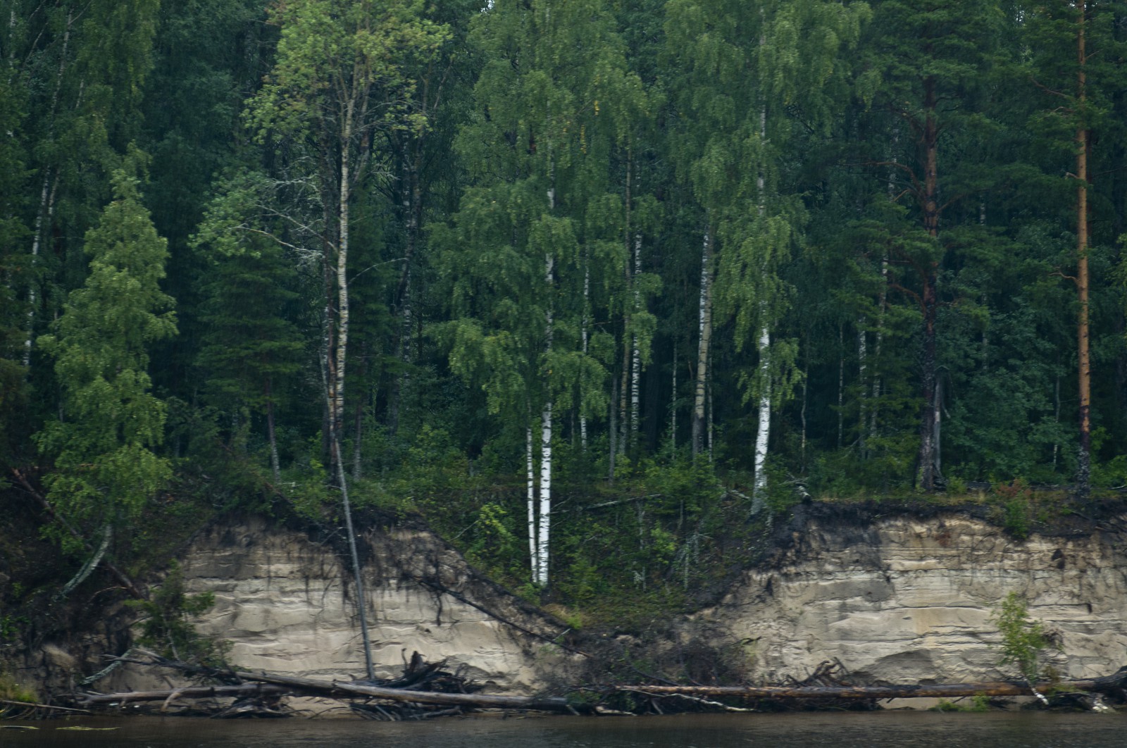 Les berges du Svir