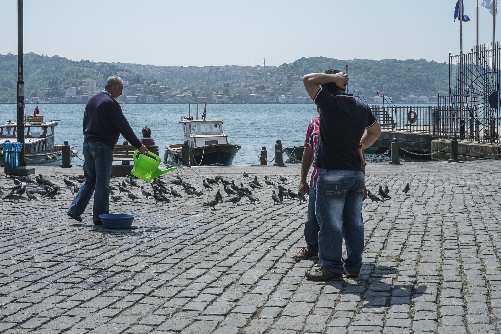 Les pigeons et l'arroseur