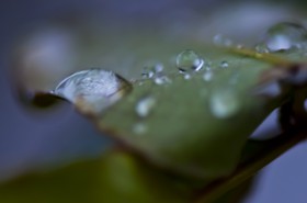 Gouttes d'eau