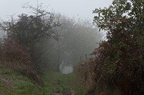 Paysage en Ariège