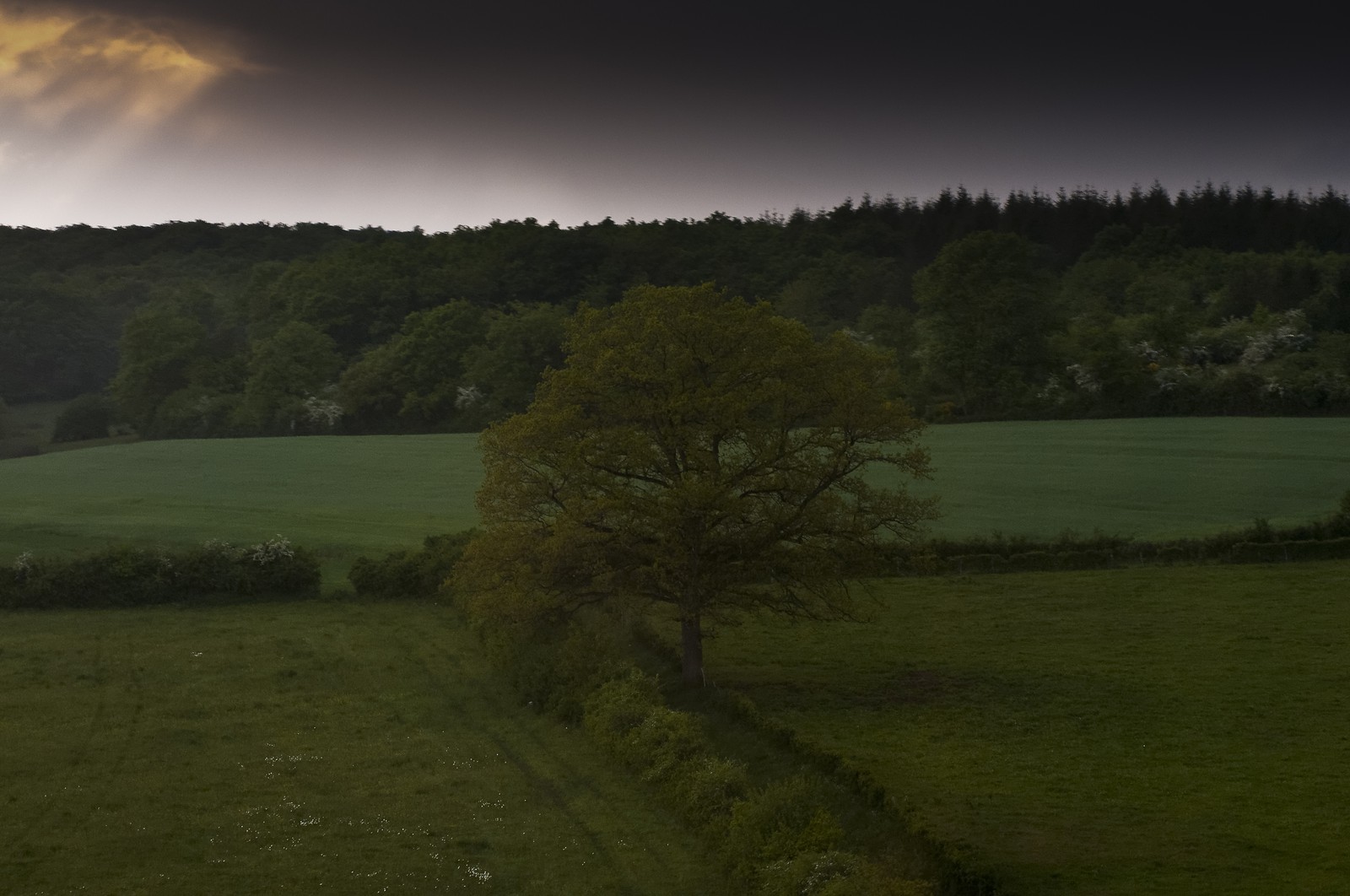 Coucher de soleil