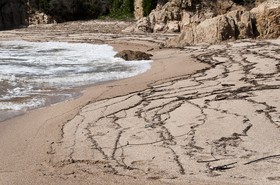 Plage à Porticcio