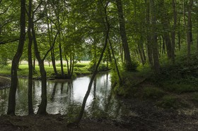 La Saâne
