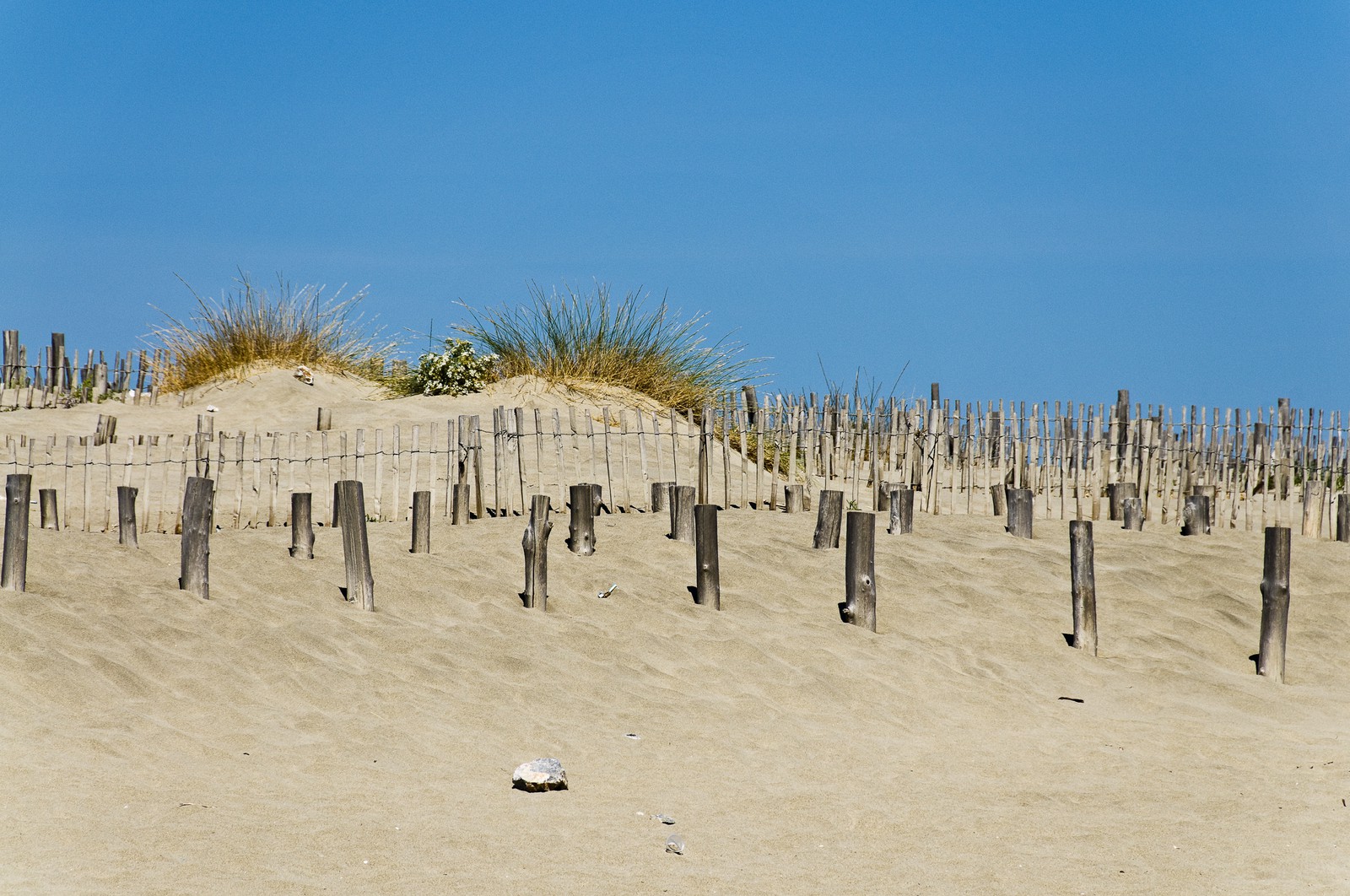 Plage du Barcarès