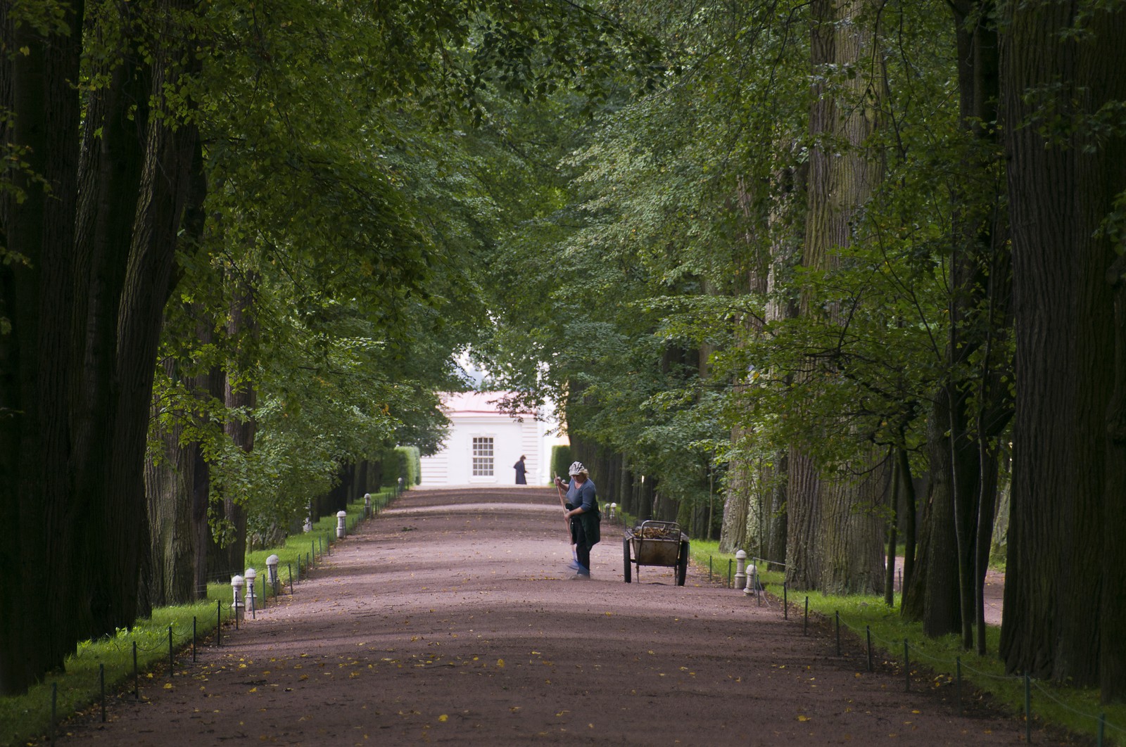 Parc inférieur