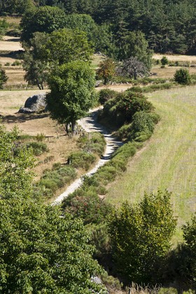 Chemin de terre