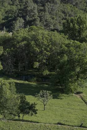 La vallée