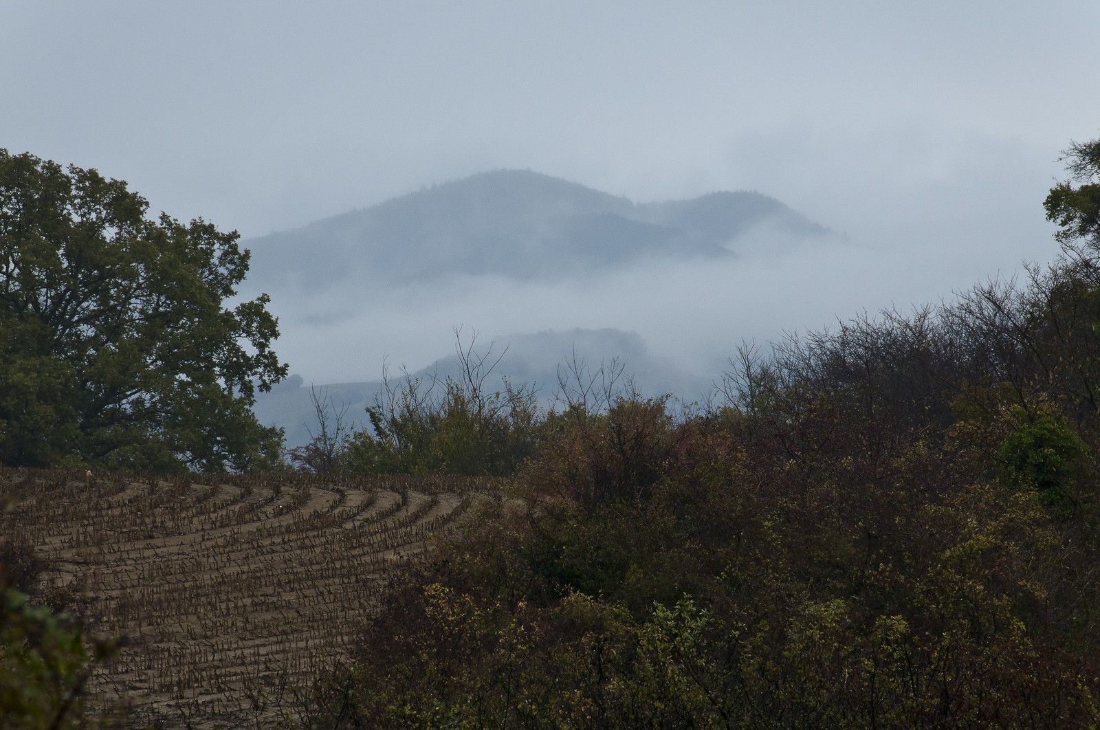 Paysage en Ariège