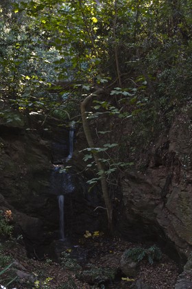 Cascade
