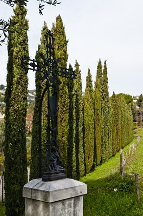 Allée de cyprès