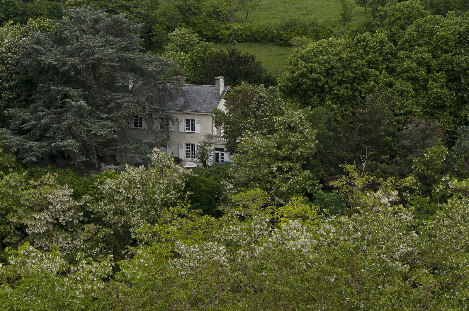 Maison dans les bois