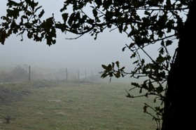 Paysage en Ariège