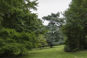 Parc arboré