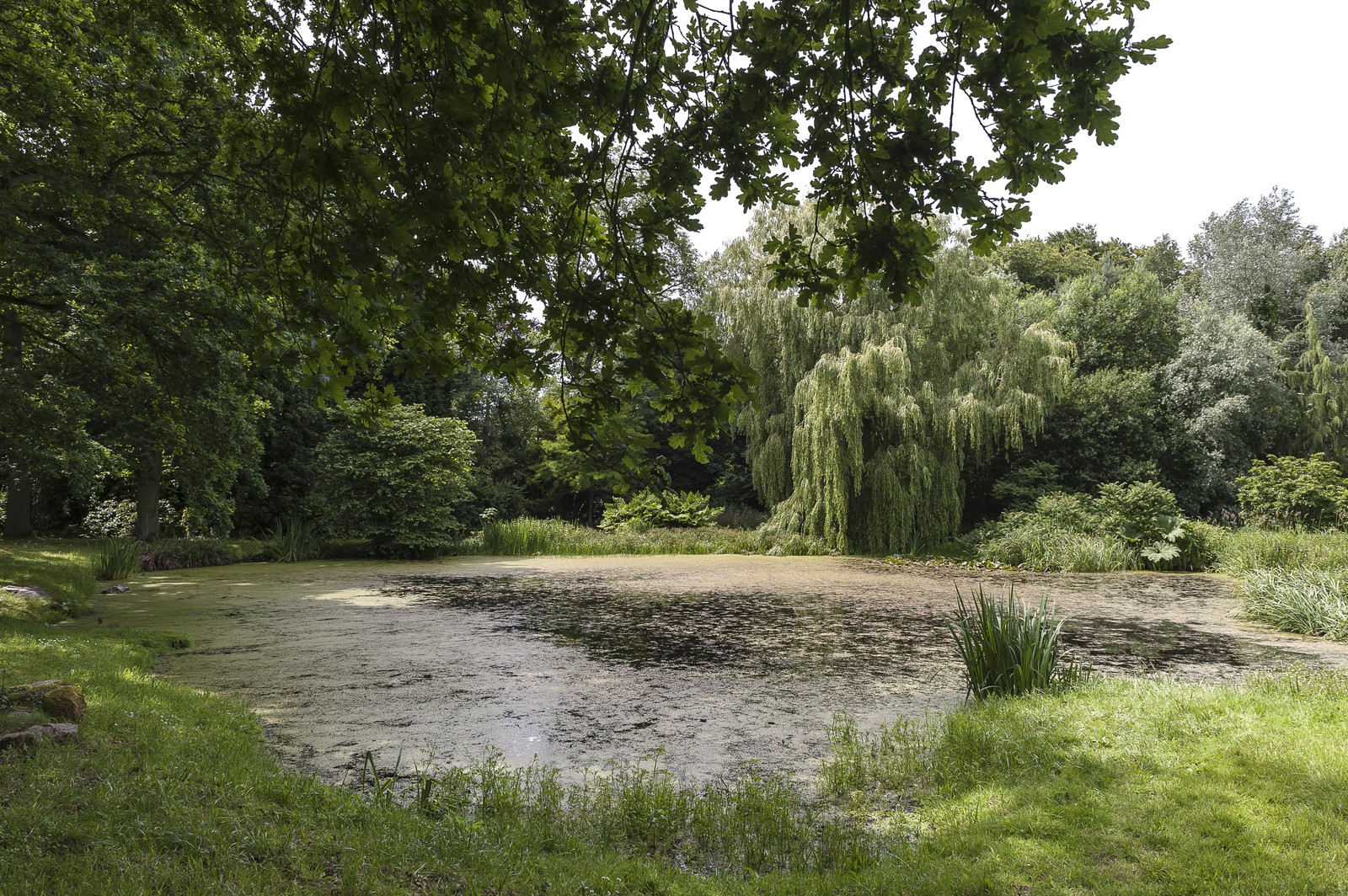 Etang