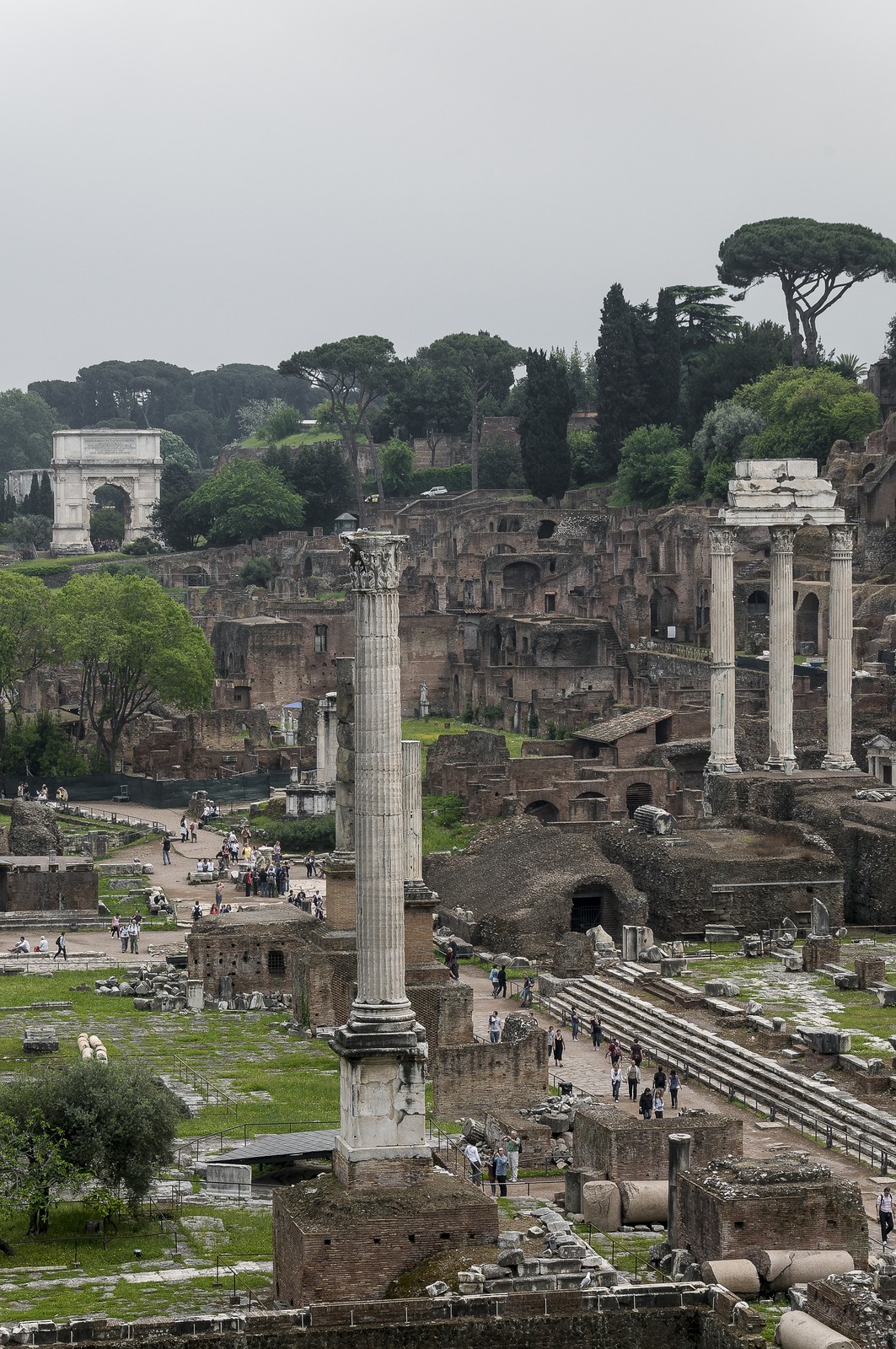 Vue du forum Romain