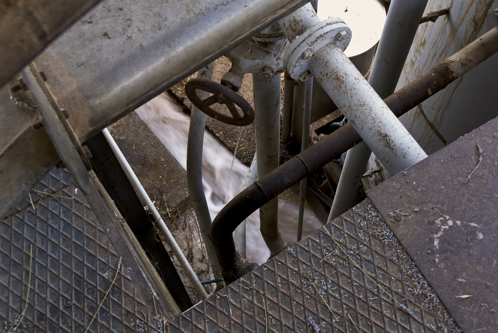 Distillerie de lavande
