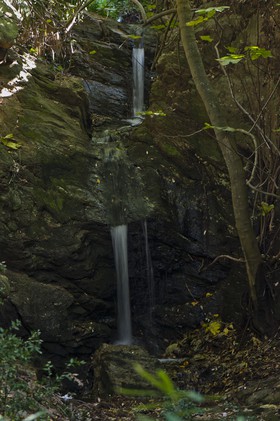 Cascade