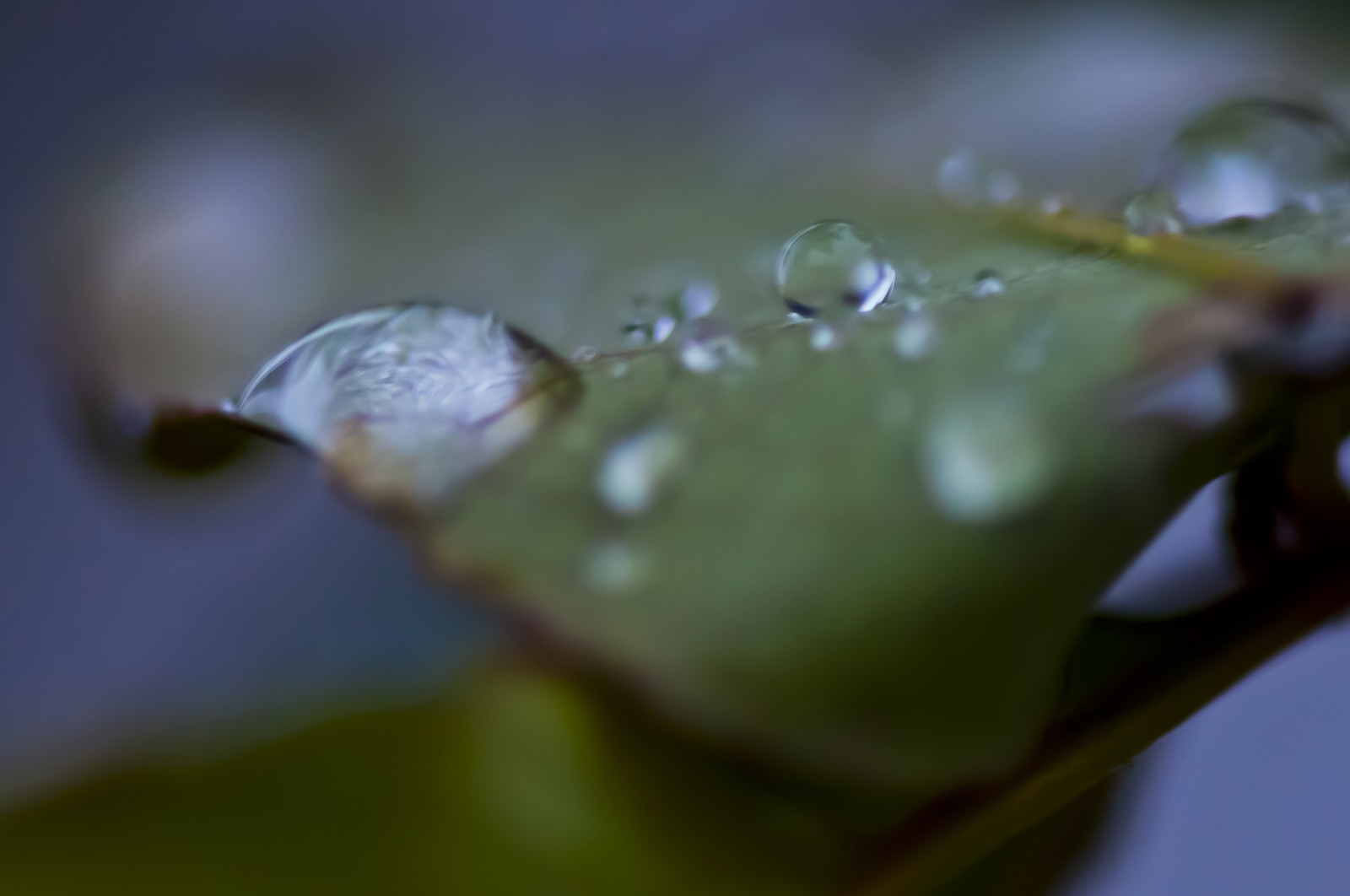Gouttes d'eau