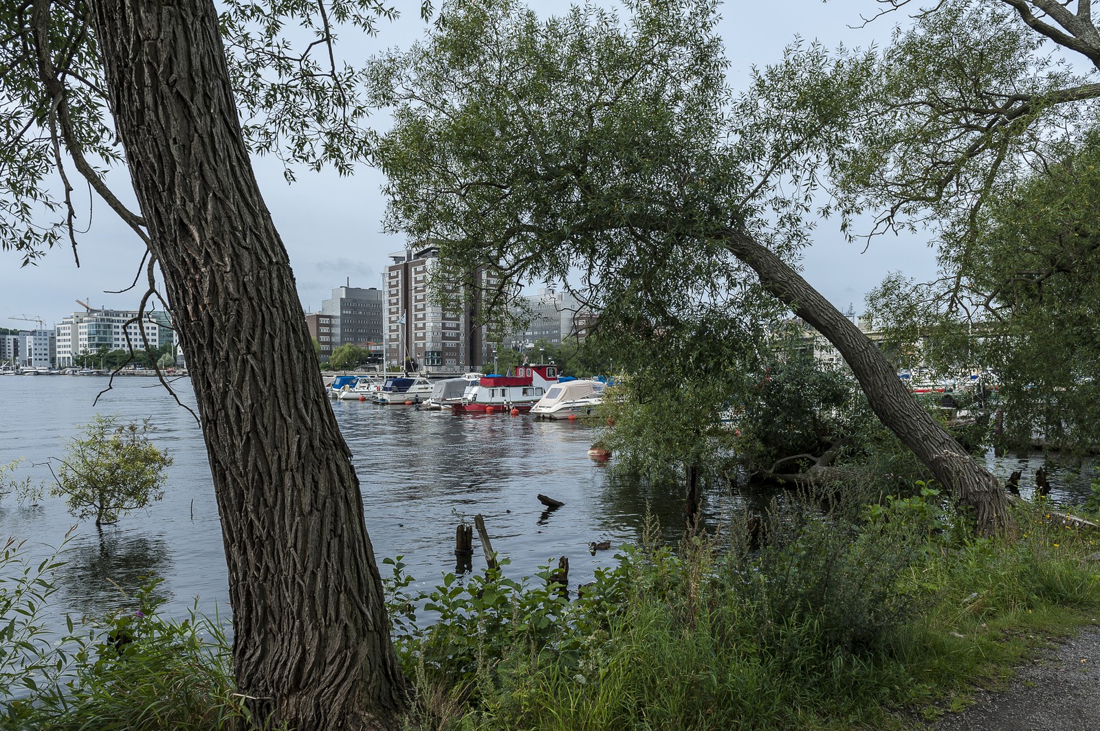 Port de plaisance