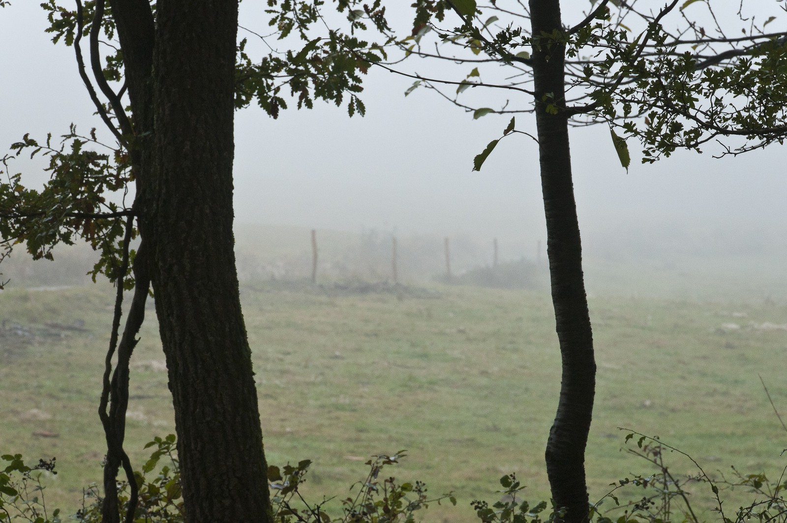 Paysage en Ariège
